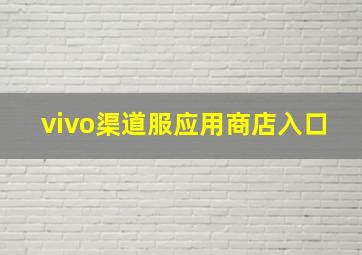 vivo渠道服应用商店入口