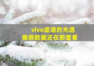 vivo渠道的光遇换绑数据还在那里看