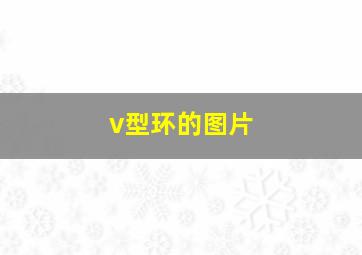 v型环的图片