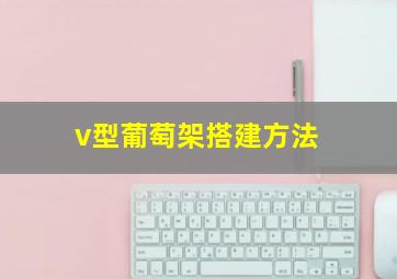 v型葡萄架搭建方法