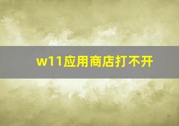 w11应用商店打不开