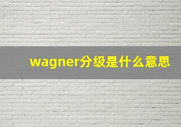 wagner分级是什么意思