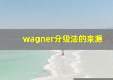 wagner分级法的来源