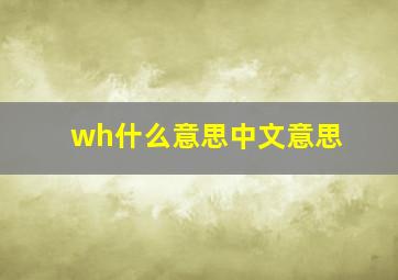 wh什么意思中文意思