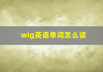 wig英语单词怎么读