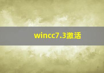 wincc7.3激活