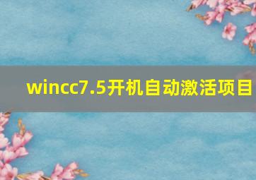 wincc7.5开机自动激活项目