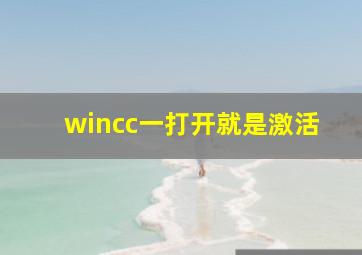 wincc一打开就是激活