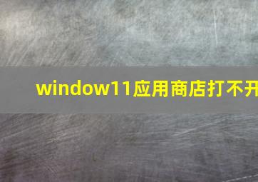 window11应用商店打不开