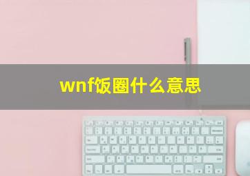 wnf饭圈什么意思