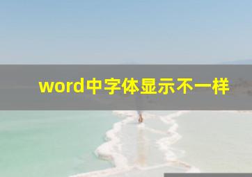 word中字体显示不一样