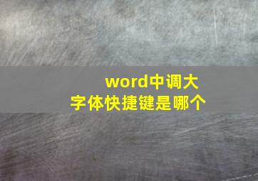 word中调大字体快捷键是哪个