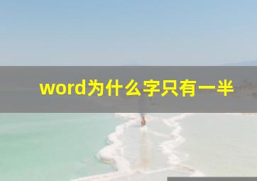 word为什么字只有一半