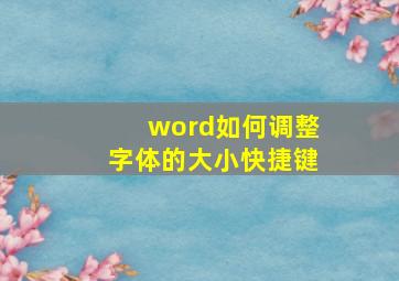 word如何调整字体的大小快捷键