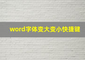 word字体变大变小快捷键