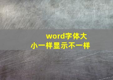 word字体大小一样显示不一样