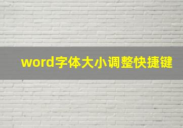 word字体大小调整快捷键