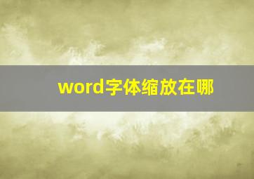 word字体缩放在哪