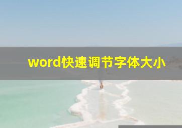 word快速调节字体大小