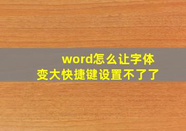 word怎么让字体变大快捷键设置不了了