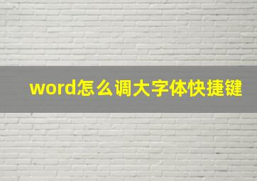 word怎么调大字体快捷键