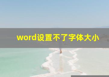 word设置不了字体大小