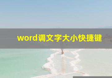 word调文字大小快捷键