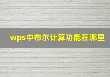 wps中布尔计算功能在哪里