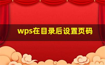 wps在目录后设置页码