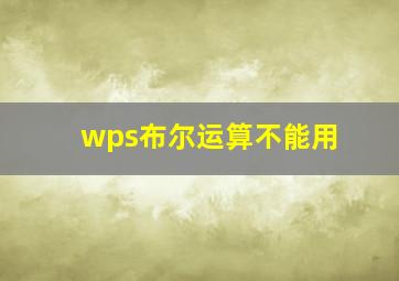 wps布尔运算不能用