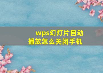 wps幻灯片自动播放怎么关闭手机