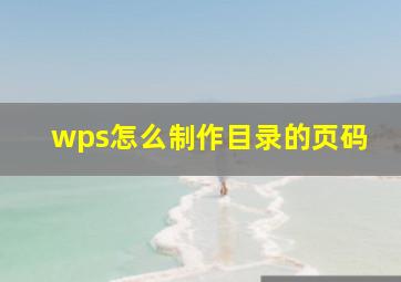 wps怎么制作目录的页码