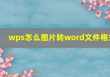 wps怎么图片转word文件格式