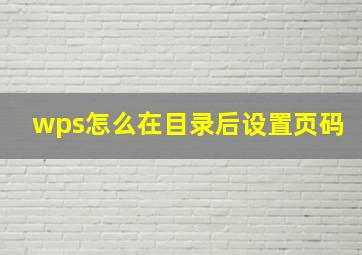 wps怎么在目录后设置页码