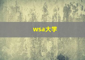 wsa大学