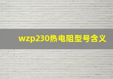 wzp230热电阻型号含义