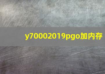 y70002019pgo加内存