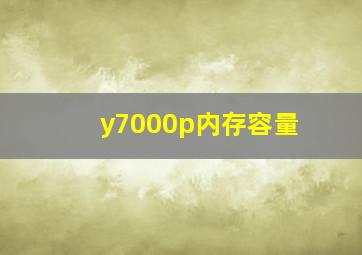 y7000p内存容量