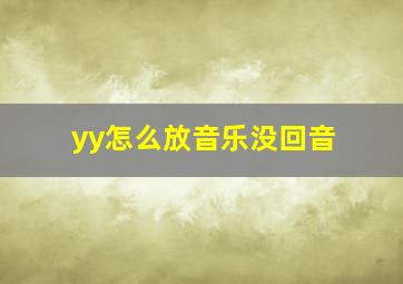 yy怎么放音乐没回音