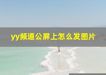 yy频道公屏上怎么发图片