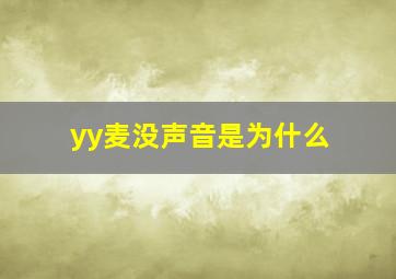 yy麦没声音是为什么