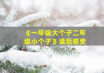 《一年级大个子二年级小个子》读后感受