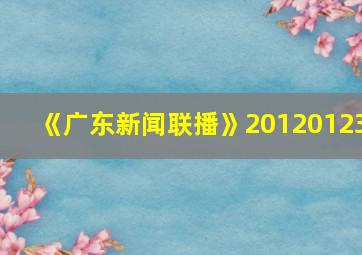 《广东新闻联播》20120123