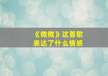 《微微》这首歌表达了什么情感