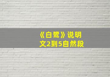 《白鹭》说明文2到5自然段