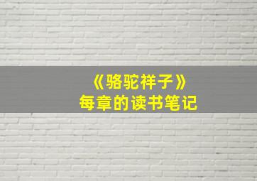 《骆驼祥子》每章的读书笔记