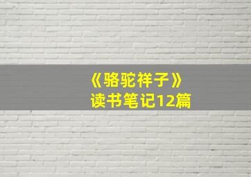 《骆驼祥子》读书笔记12篇