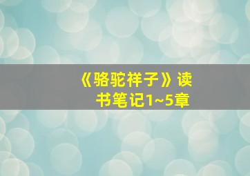 《骆驼祥子》读书笔记1~5章