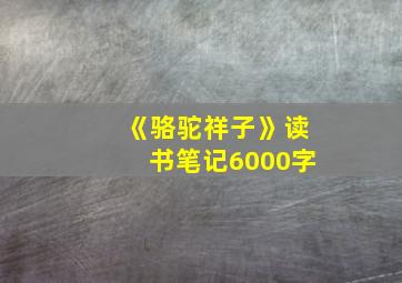 《骆驼祥子》读书笔记6000字