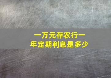 一万元存农行一年定期利息是多少